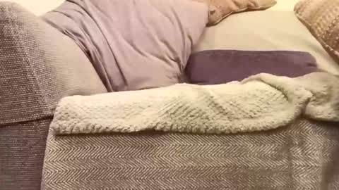 mtx9889 online show from November 20, 11:58 pm