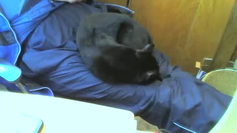 muller520 online show from September 15, 2:51 pm