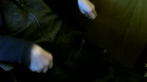 muller520 online show from March 12, 4:26 pm