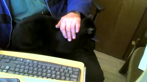 muller520 online show from February 4, 4:50 pm