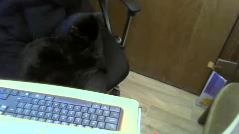 muller520 online show from January 22, 4:02 pm