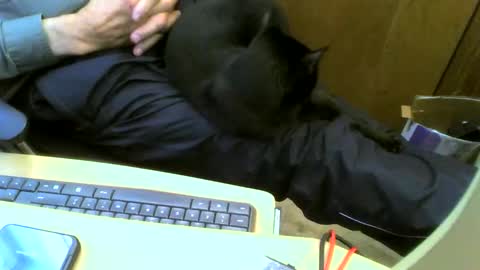 muller520 online show from September 12, 3:12 pm