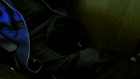 muller520 online show from February 17, 5:56 pm