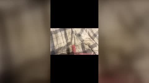 mushroomman556 online show from March 31, 4:36 am