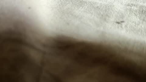 Mysolo1987 online show from December 20, 9:54 am