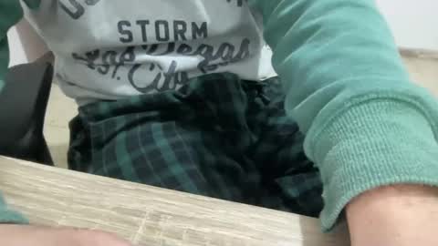 myStallion online show from December 28, 2:22 pm