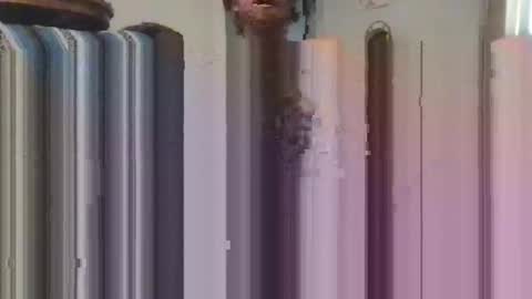 n00beans online show from November 24, 7:15 pm