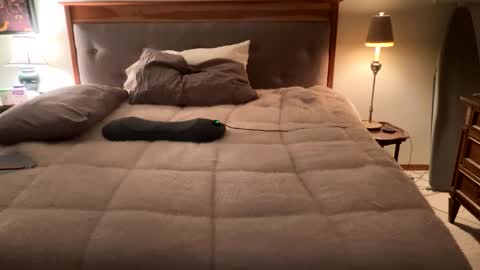 Masturbating boys need to be spanked. online show from April 12, 2:15 am