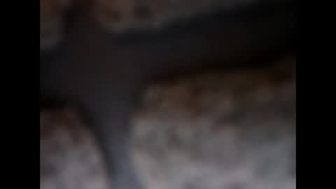 naughtypanties123 online show from March 11, 6:42 am