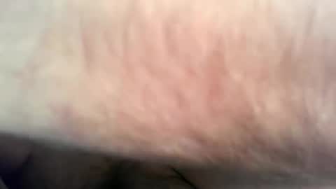 nbw online show from January 28, 1:49 pm