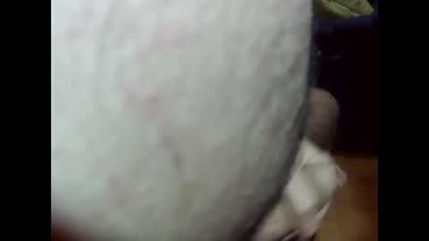 ncbncb online show from December 23, 3:01 pm