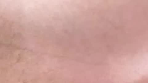 neo boy 66 online show from December 18, 10:33 am