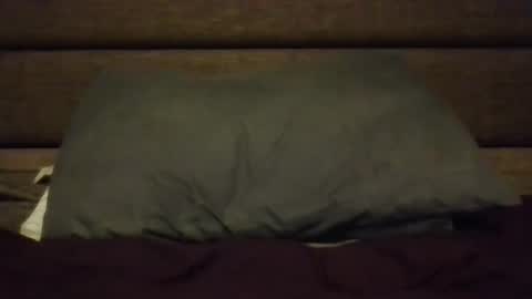 Nerfylil online show from January 8, 4:39 am