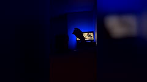 newps4accnt8 online show from April 15, 6:35 am