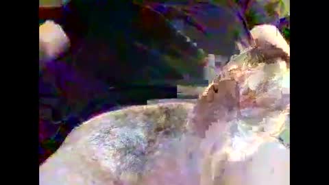 Nickyfruit online show from October 30, 9:22 am