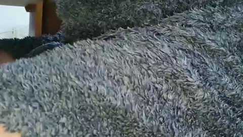 nineinchhard online show from April 6, 1:01 pm