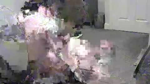 njboy22 online show from April 16, 6:24 am