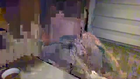 nomadfreedom online show from December 3, 11:43 am