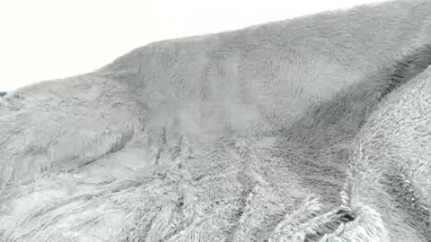 nreus online show from March 11, 3:37 am