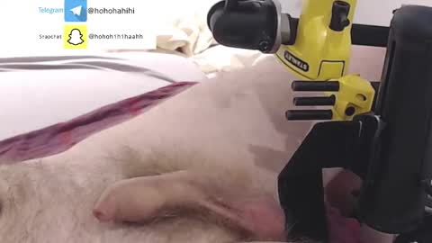 nuche99 online show from November 1, 6:12 pm