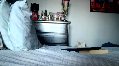 KN online show from February 12, 5:19 pm