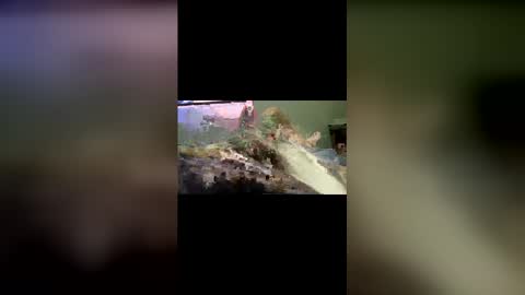 ojeremiah1961 online show from February 24, 4:35 am