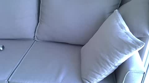 hairyBRboy online show from November 10, 5:40 pm