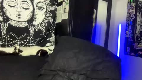 Oliver fast online show from October 15, 7:49 am