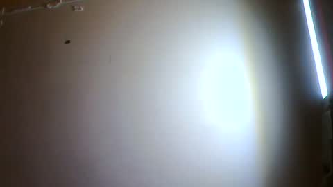 orangemarmelade online show from March 10, 10:43 am