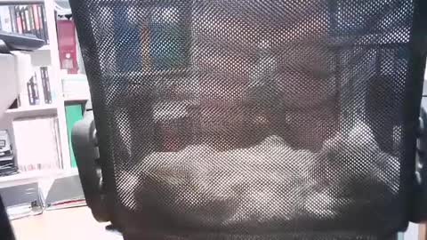 oren online show from March 4, 9:29 am