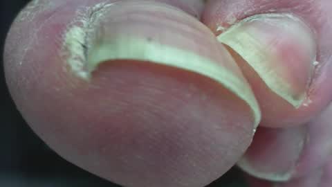 Pablo Meness online show from February 2, 12:40 am