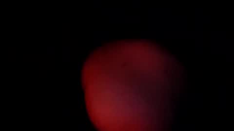 pablouyu online show from December 7, 11:18 am