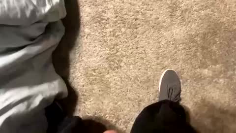 palote_69 online show from February 13, 1:50 am