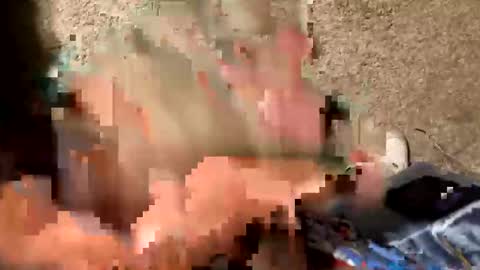 palote_69 online show from October 17, 3:43 am