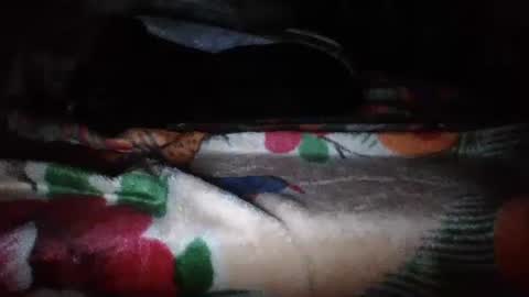 papi mexicano en boxers online show from November 20, 6:46 am