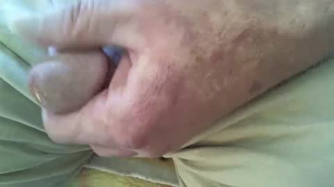 Shmoo online show from December 20, 8:49 pm