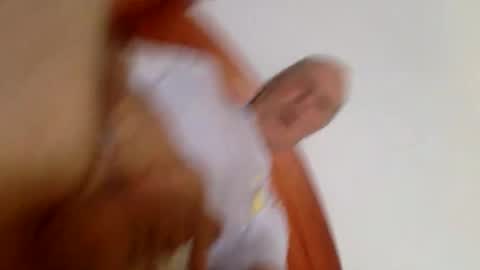 Pati24 online show from February 26, 5:42 am