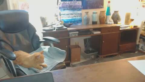 paulleroy online show from January 26, 1:41 am