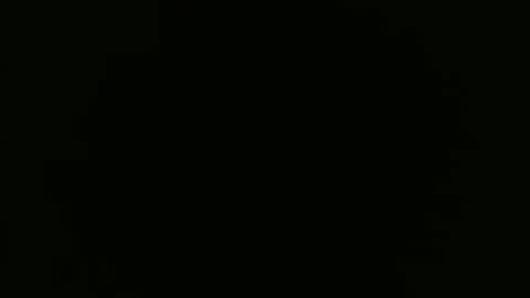 pauly online show from March 6, 3:36 am