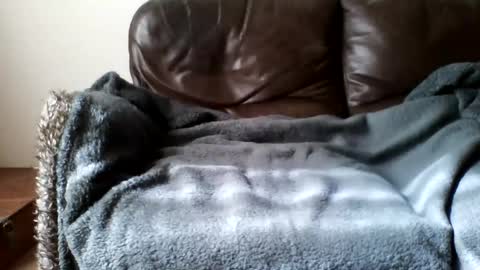 paurlien online show from March 21, 11:03 am