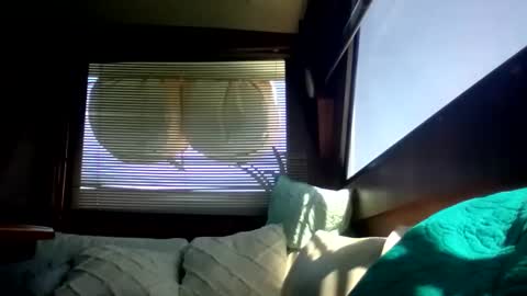 Pavone splash online show from February 24, 3:57 pm