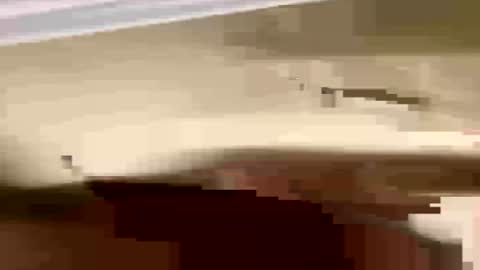 pawgpussy69 online show from July 22, 2:58 am