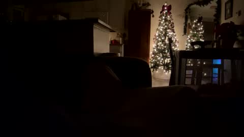 penessy47 online show from December 19, 10:56 am