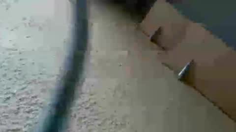 perales_12345 online show from November 9, 2:54 pm