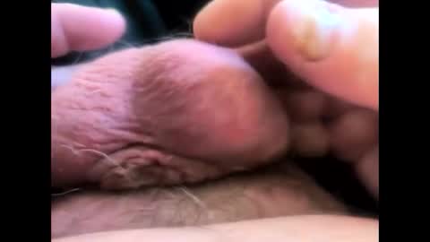 petrol63102 online show from April 12, 12:39 pm