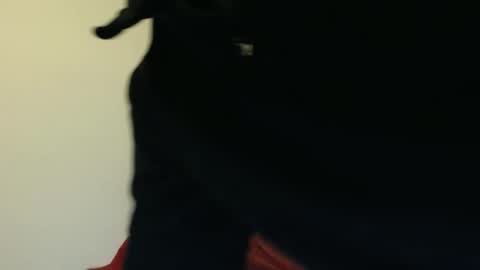 phantasie31 online show from September 16, 9:48 pm