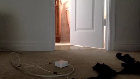 Its always better when its forbidden online show from April 1, 4:48 pm