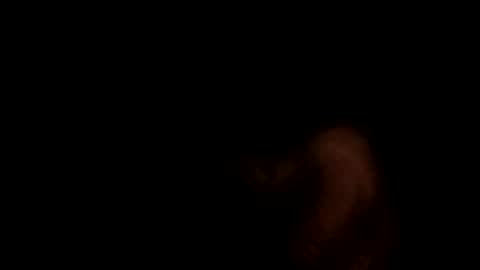 phillipdee online show from January 6, 5:11 am