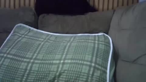 piazaocwbbb online show from January 17, 1:19 am