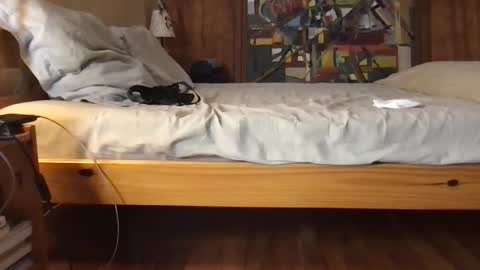 pierrohhh online show from November 4, 9:49 pm